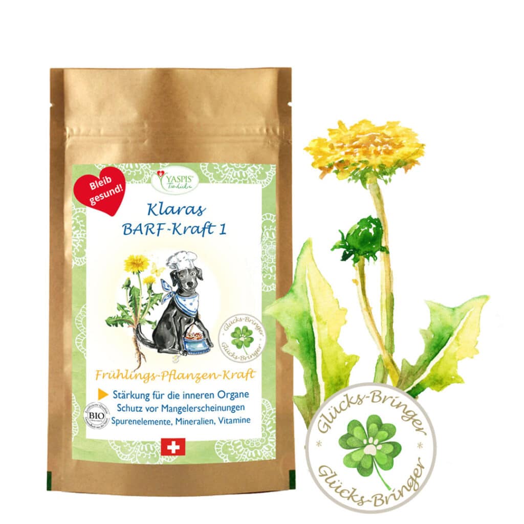 Hunde BARFEN: Wie geht das? Das geht ganz einfach mit Klaras BARF Kraft Nr. 1 es ist ein Kraftpaket im Frühling, denn es stärkt die inneren Organe!