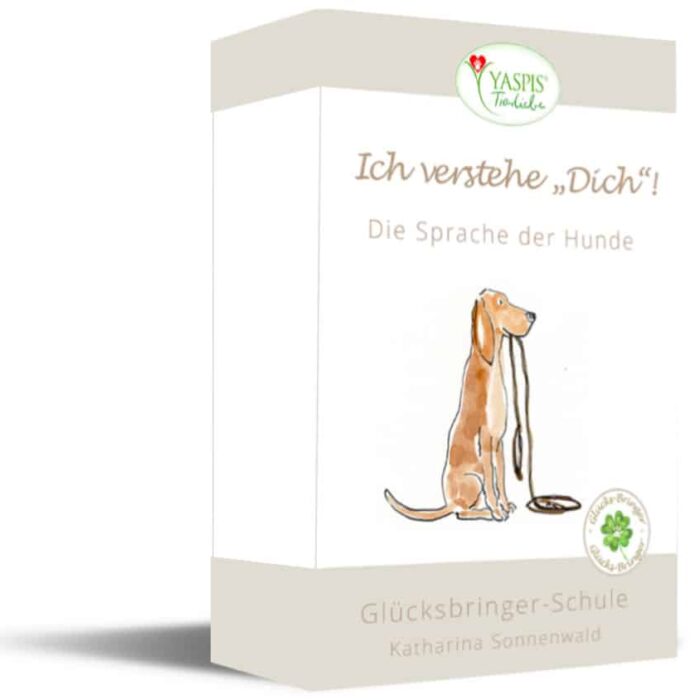 Glücksbringer-Kurs: Ich verstehe "Dich"!
