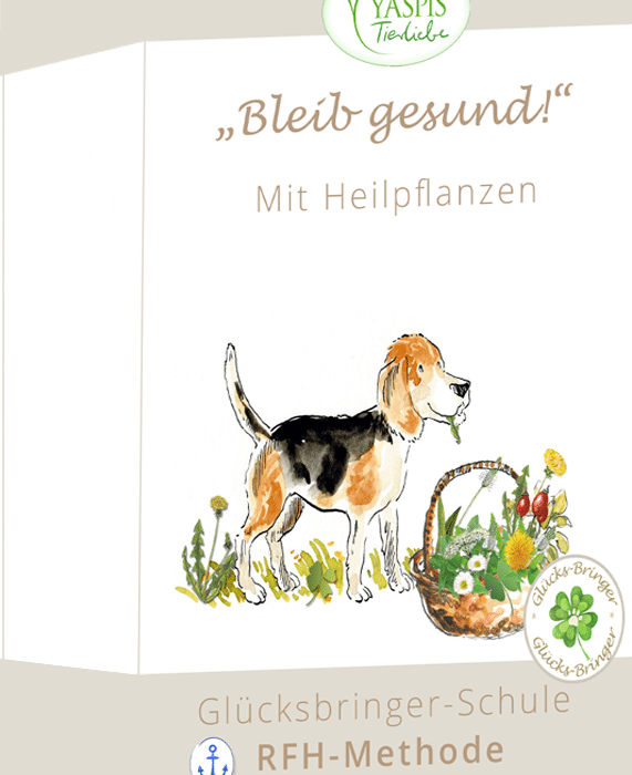 Glücksbringer-Kurs: "Bleib gesund - und werd gesund" mit Heilpflanzen (Raten)