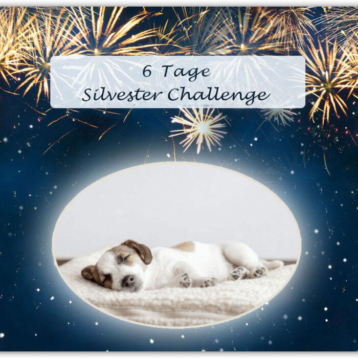 Silvester-Challenge Angebot 2024