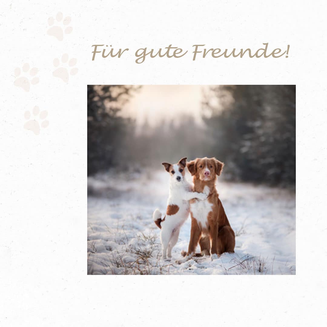 Kräuterschätze 3 im Herbst & Winter – Bild 5