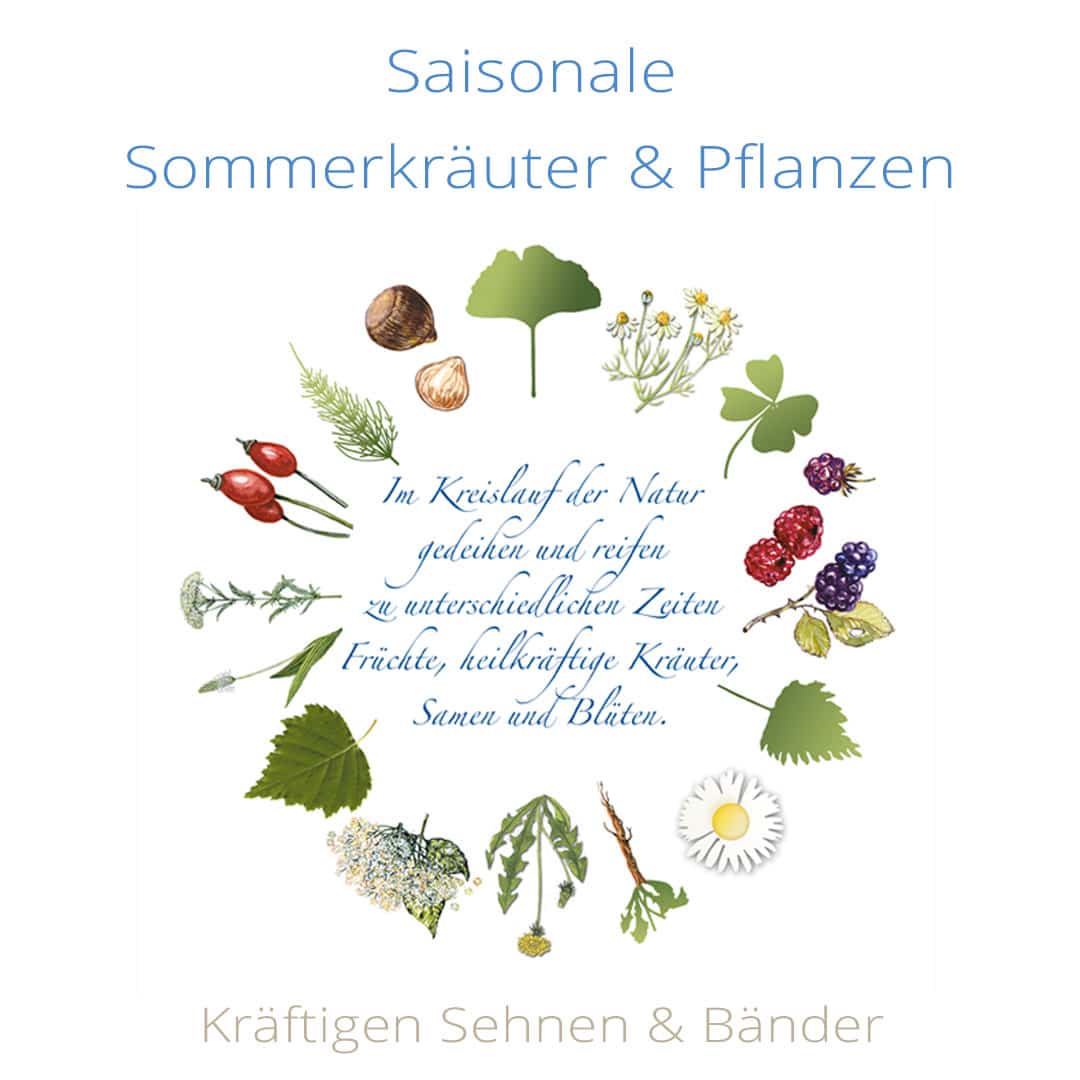 Hunde BARFEN: Klaras Barf-Gesundheits-Set Nr. 2 – Bild 4