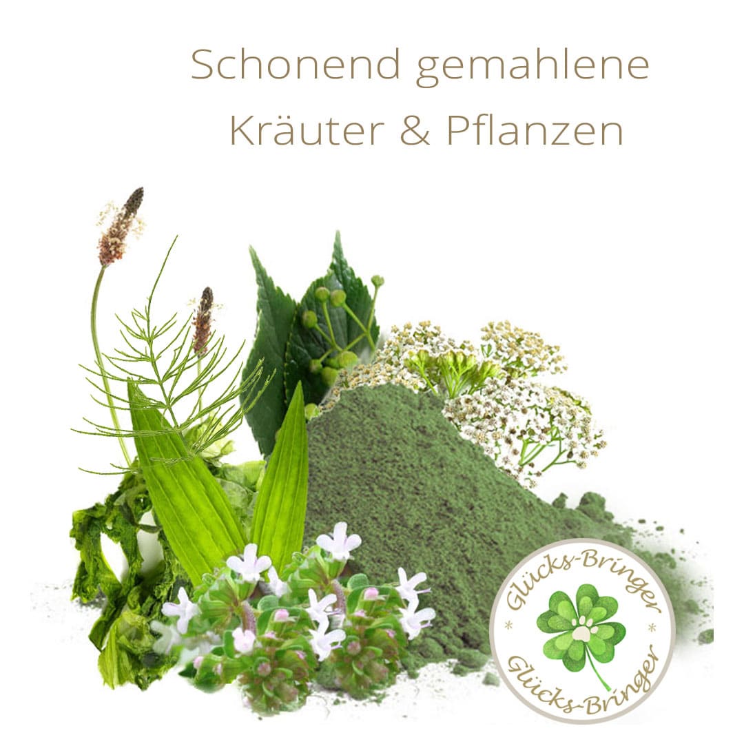 Hunde BARFEN: Klaras Barf-Gesundheits-Set Nr. 2 – Bild 2