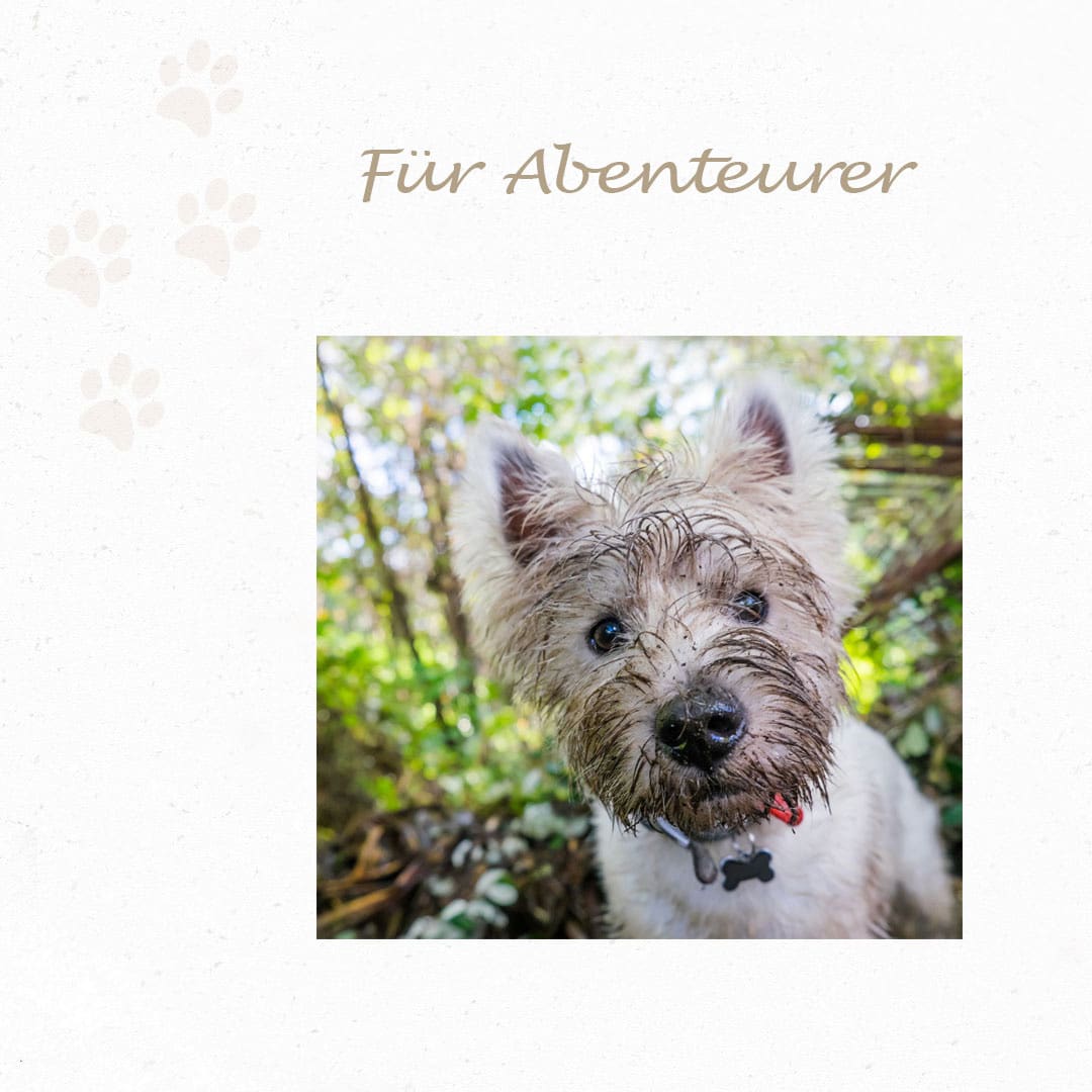 Hunde BARFEN: Klaras Barf-Kraft Nr. 3 – Bild 5