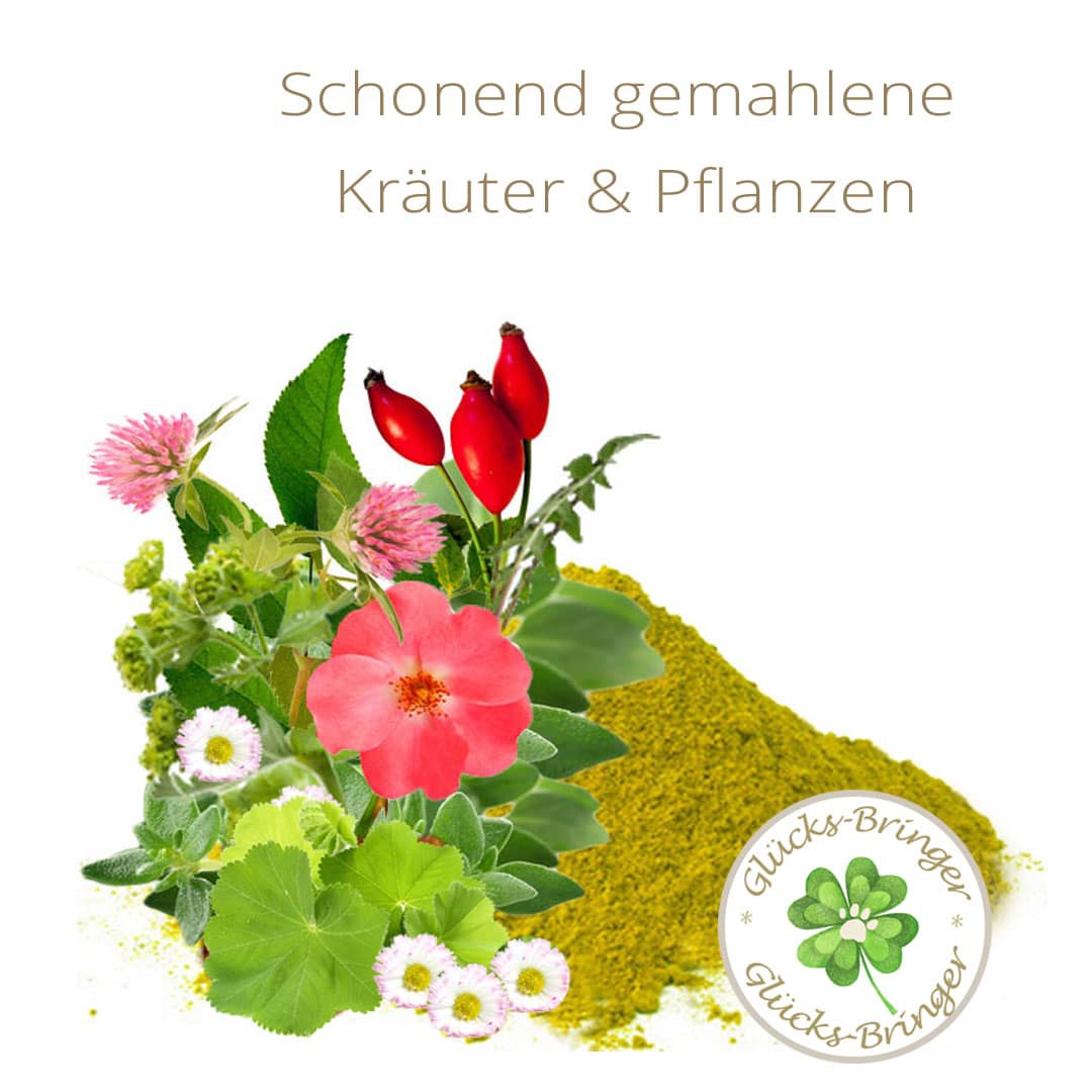 Hunde BARFEN: Klaras Barf-Kraft Nr. 3 – Bild 2