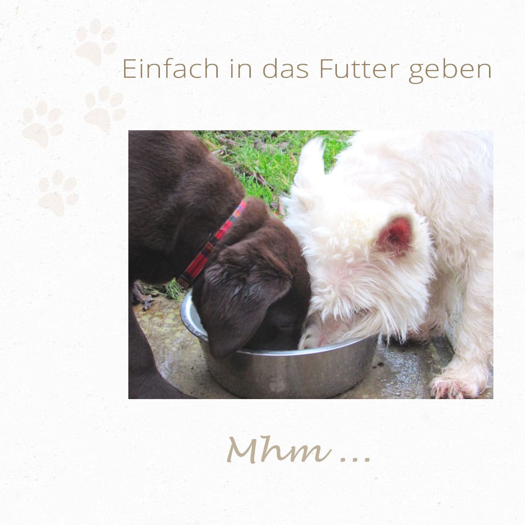 Hunde BARFEN: Klaras Barf-Kraft Nr. 3 – Bild 3