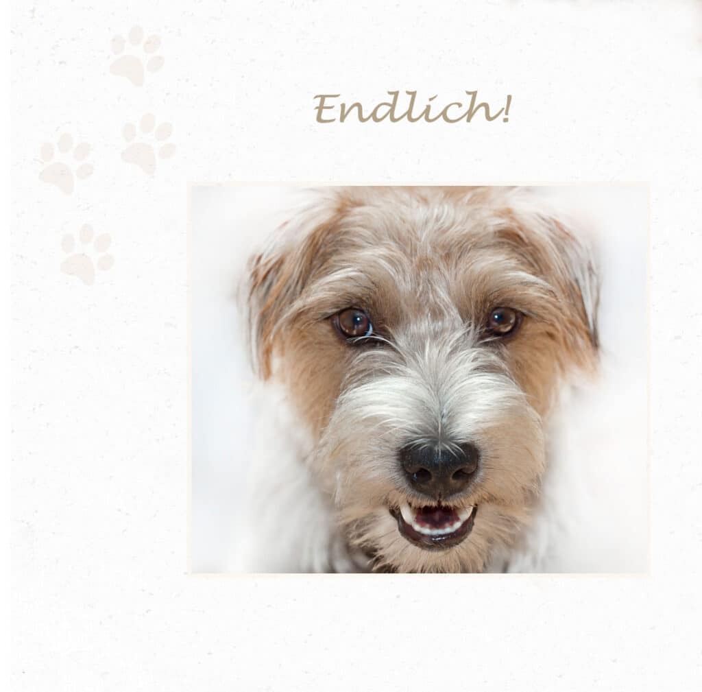 Endlich hat mein Hund keine Zecken mehr.