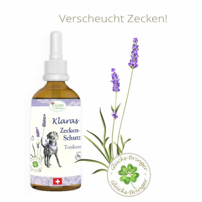 Was hilft gegen Zecken bei Hunden? Da hilft Klaras Zecken-Schutz Tonikum