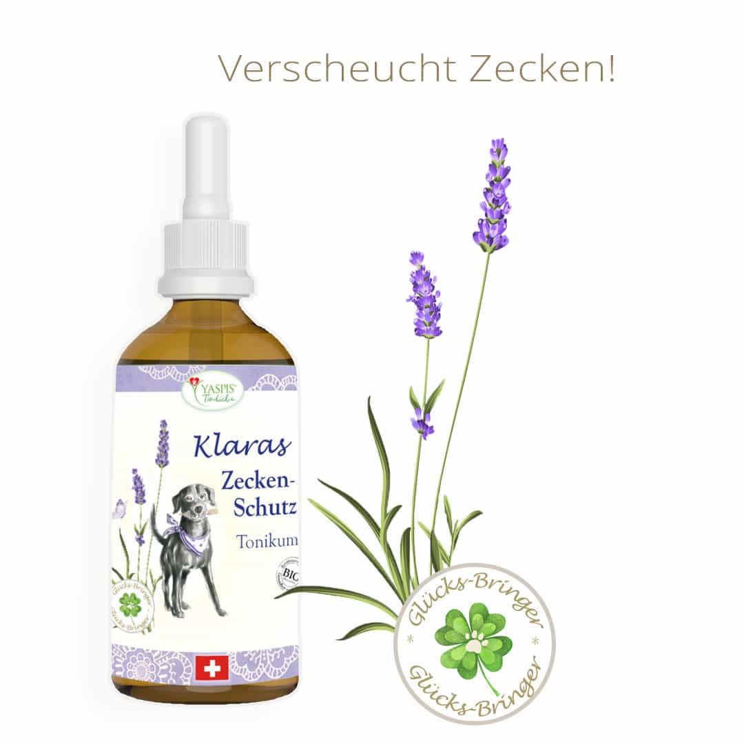 Was hilft gegen Zecken bei Hunden? Da hilft Klaras Zecken-Schutz Tonikum