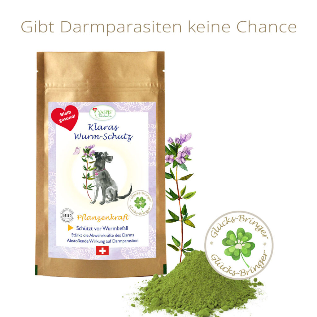 Schützt Hunde vor Darmparasiten.