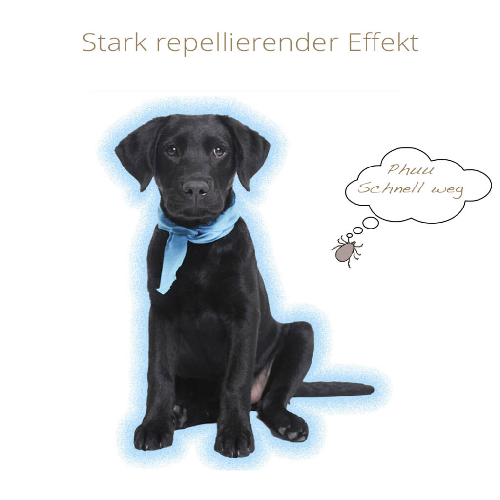Klaras Zeckenschutz für Hunde hat einen stark epellierenden Effekt.