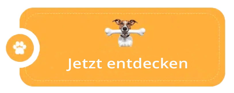 Button zum Kurs: Darmsanierung für Hunde.