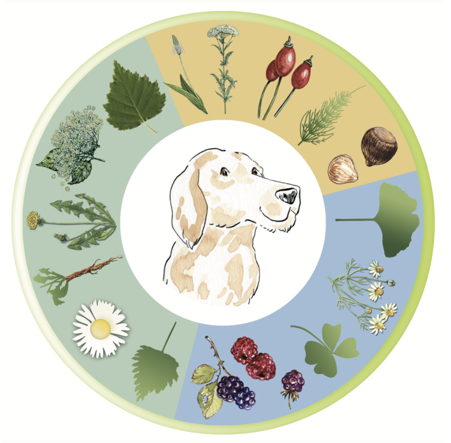 Hunde Barfen im Kreislauf der Natur: Ganz natürlich, saisonal!
