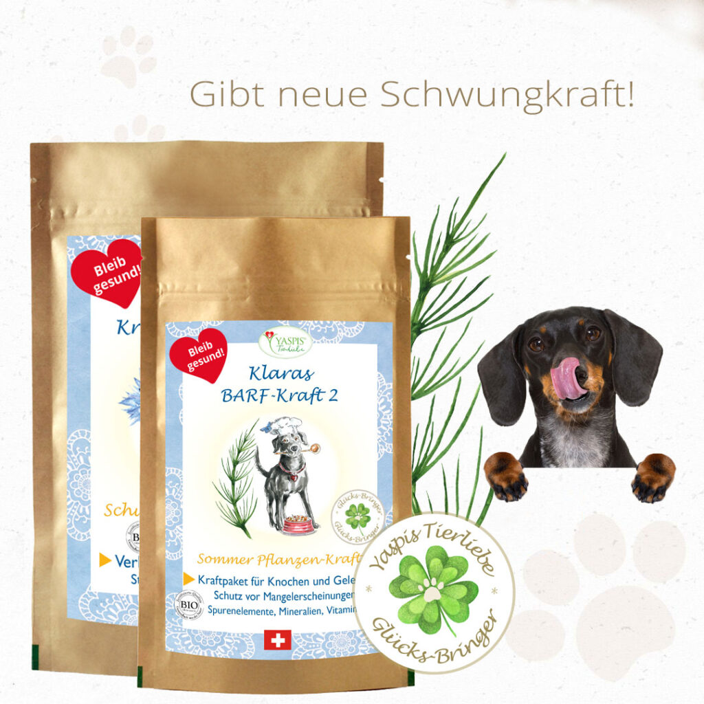 BARF-Ergänzung im Sommer. Klaras Gesundheits-BARF-Set Nr.2.