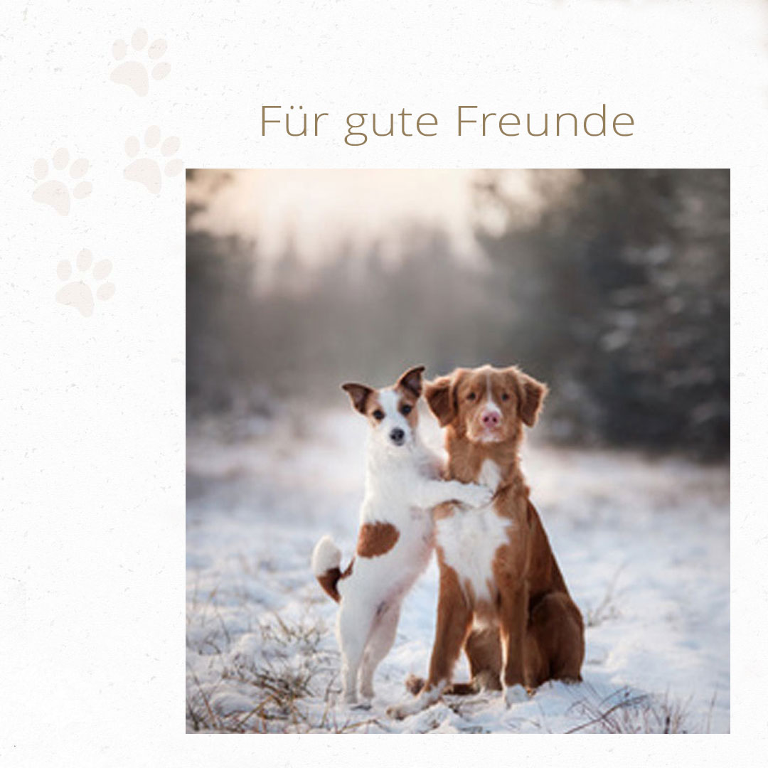 Glueckliche-Hunde