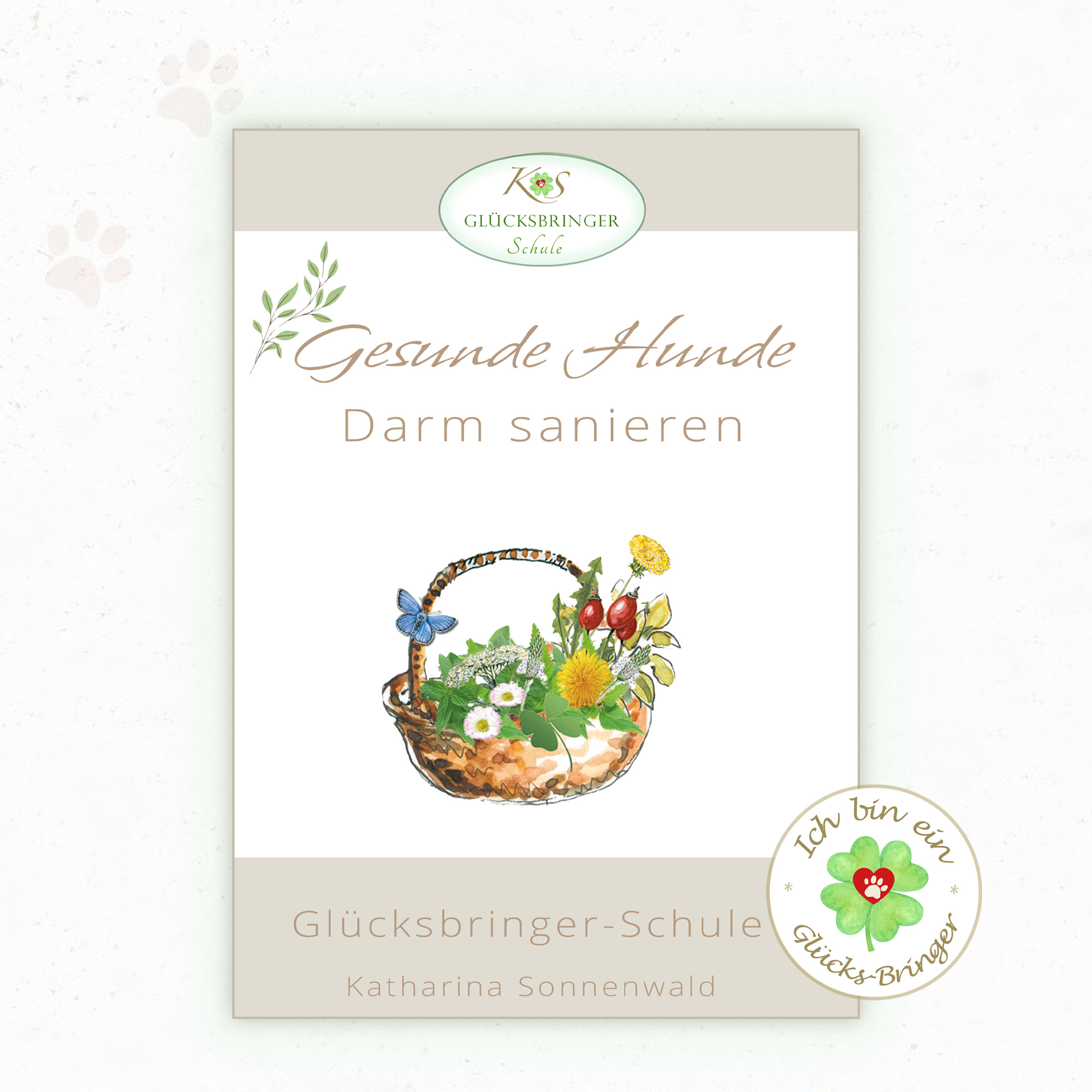 Kursbild: Den Darm beim Hund sanieren-