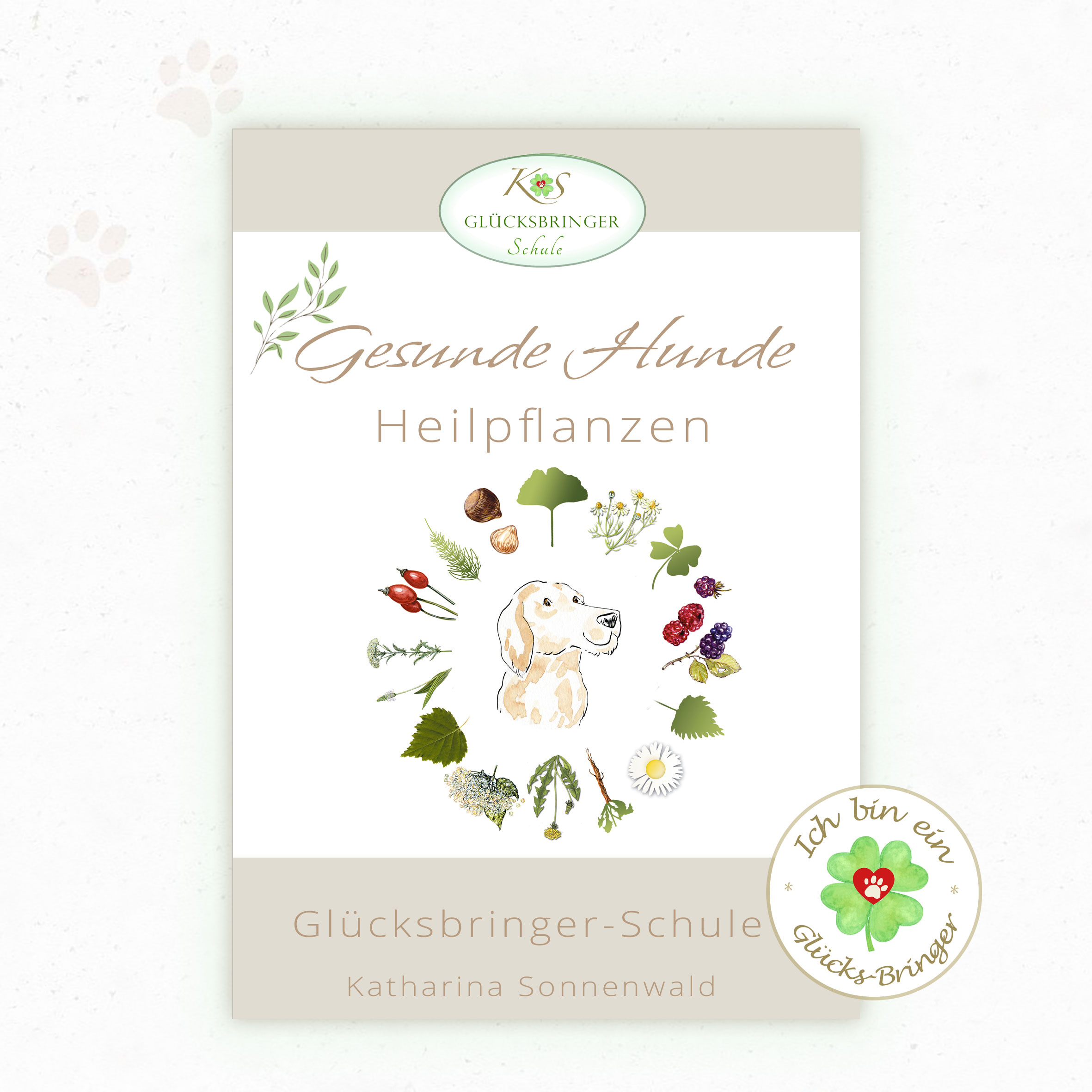 Kursbild: Heilpflanzen für Hunde.