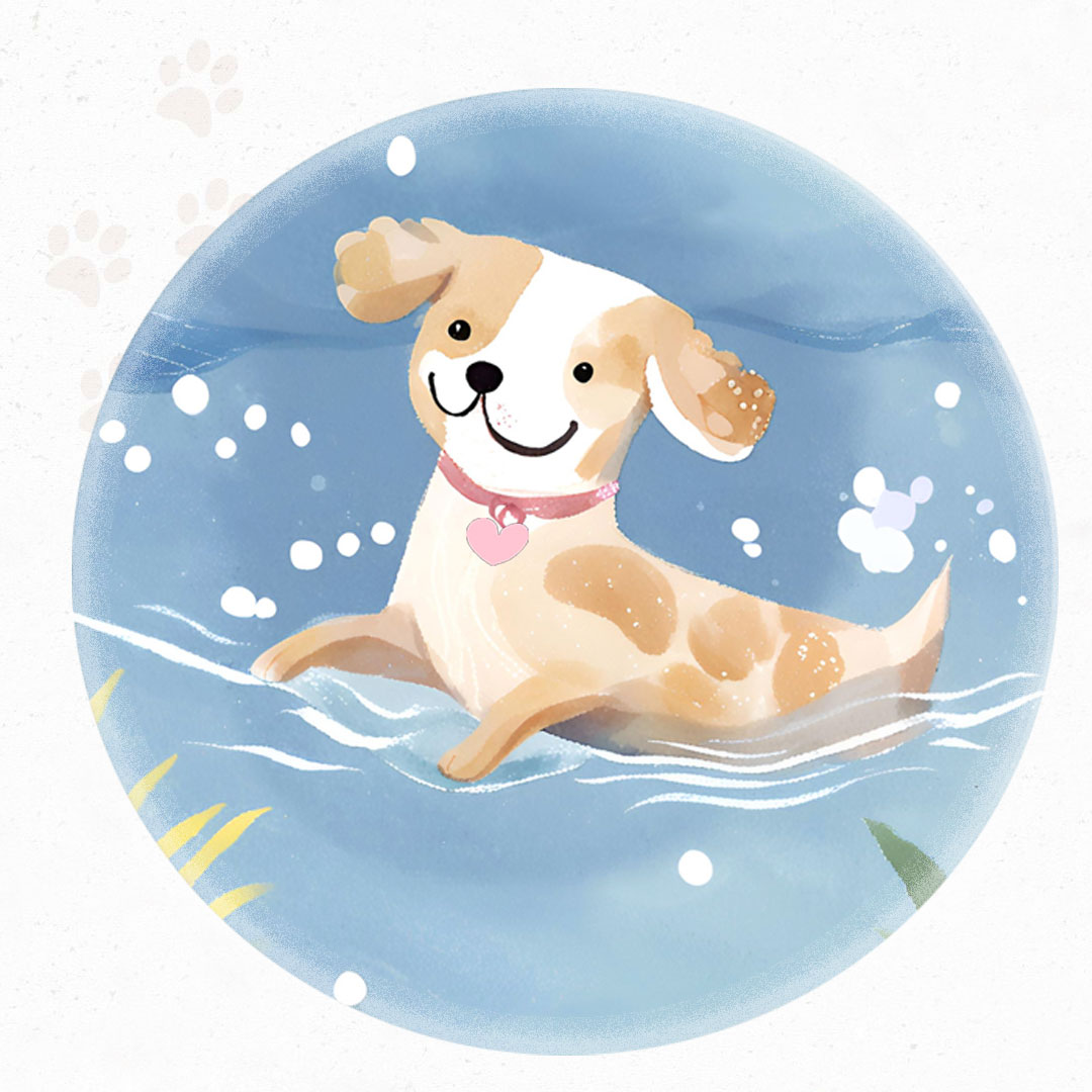 Hund ist gesund und schwimmt im Wasser.