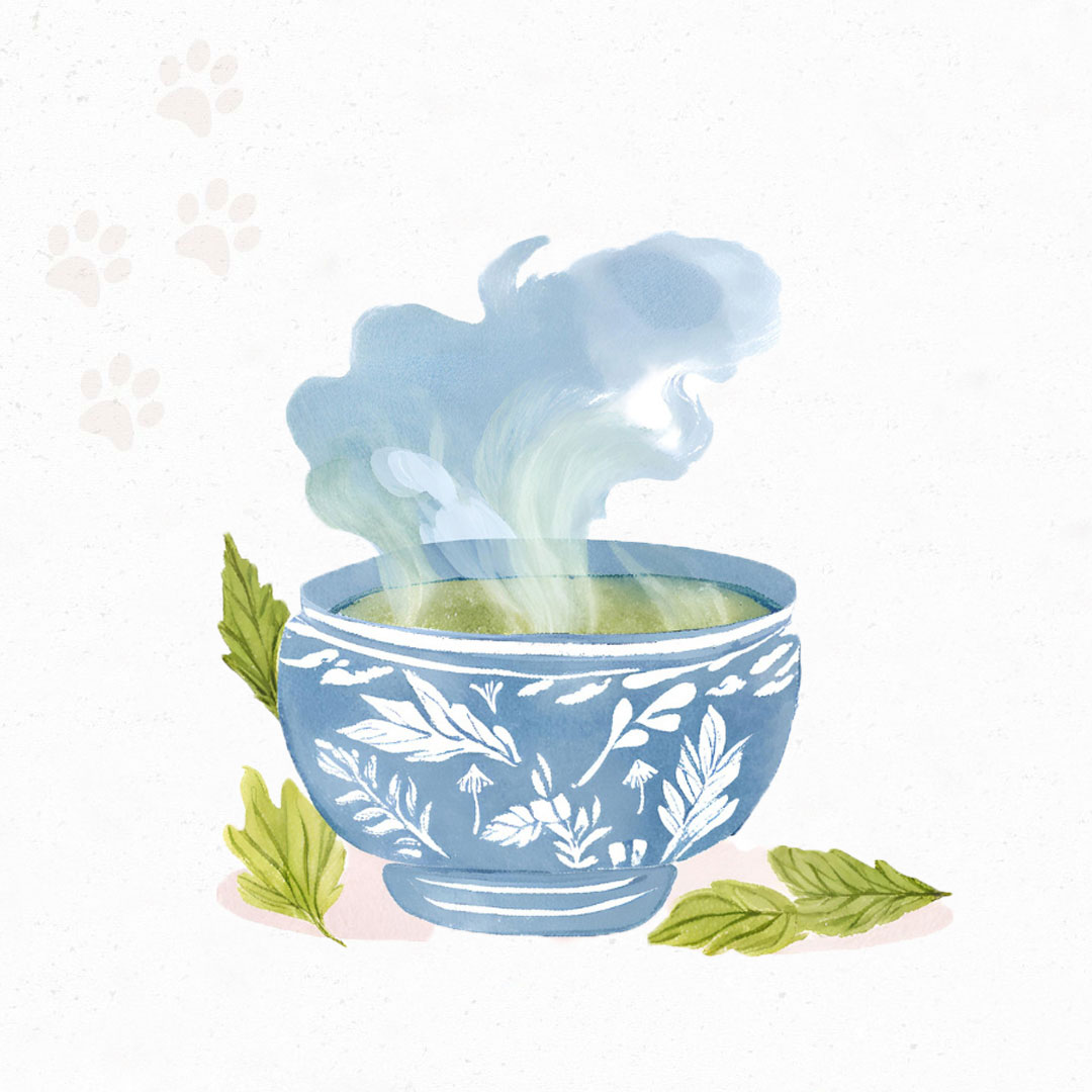 Kräutertee-im-Sommer