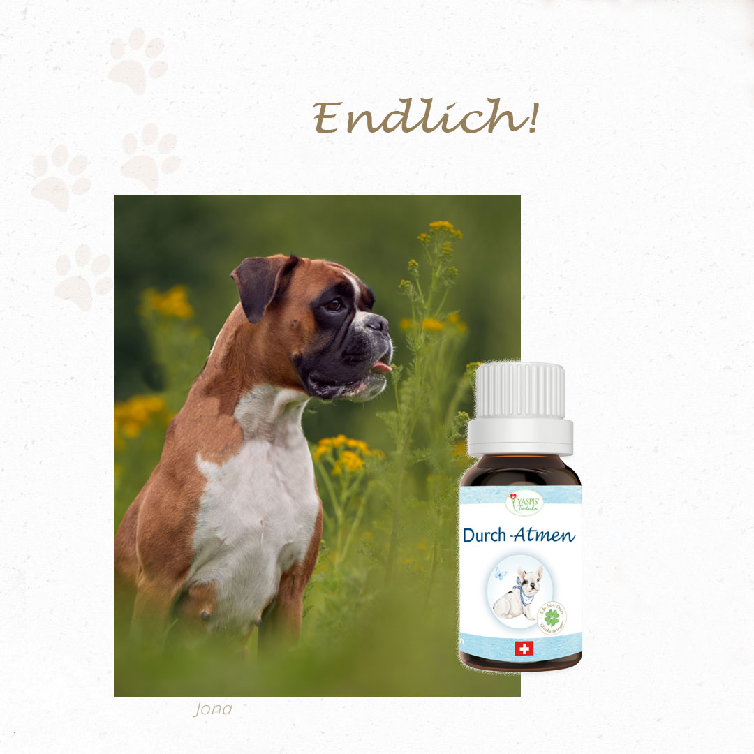 Durch-Atmen – Bild 7