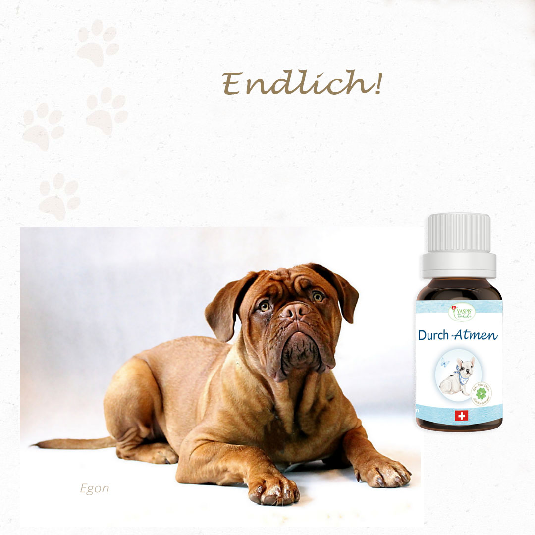 Durch-Atmen – Bild 6