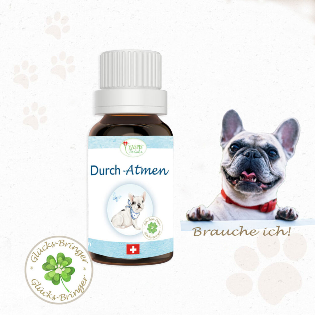 Hund hat Atemprobleme und braucht das Duftöl: "Durchatmen".